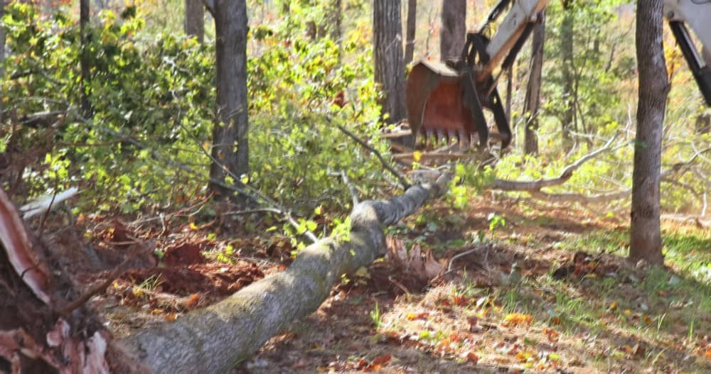 ﻿﻿Forestry Mulching in St. Louis