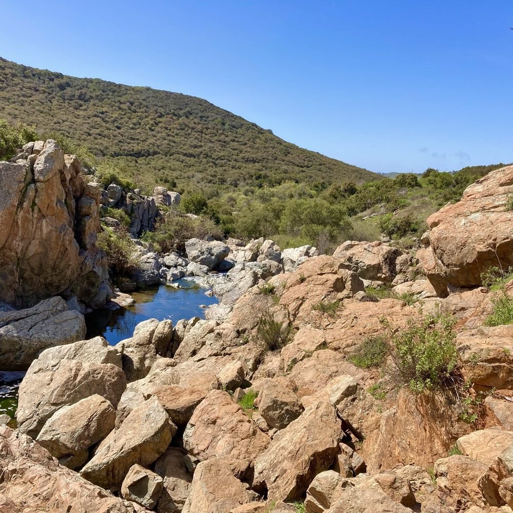 San Diego House Cleaning Service team ensuring a healthy and allergen-free home environment in Carmel San Ysidro with dedicated services